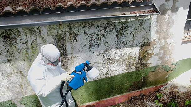 Top rated local Commercial Mold Remediation specialists in Dupont, PA